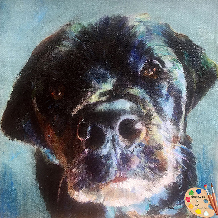 Black Dog Face Portrait 472
