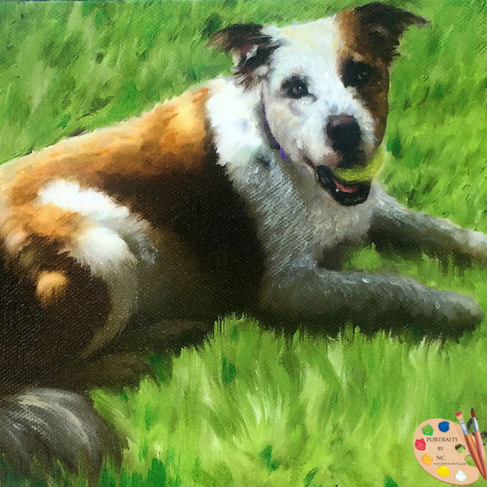 Dog Pet Portrait of Dog with Tennis Ball
