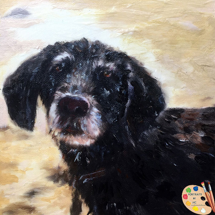 Dog Portrait from Photo 482