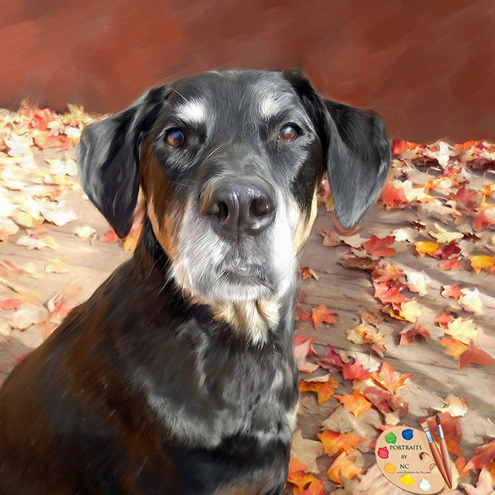 Mutt Portrait From Photo 334