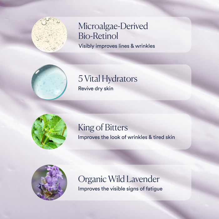OSEA Dream Night Cream with Bio-Retinol uses King of Bitters, Organic Wild Lavender, and 5 Vital Hydrators to visibly reduce wrinkles, fight fatigue, and revive dry skin—revealing a refreshed, youthful look by morning.