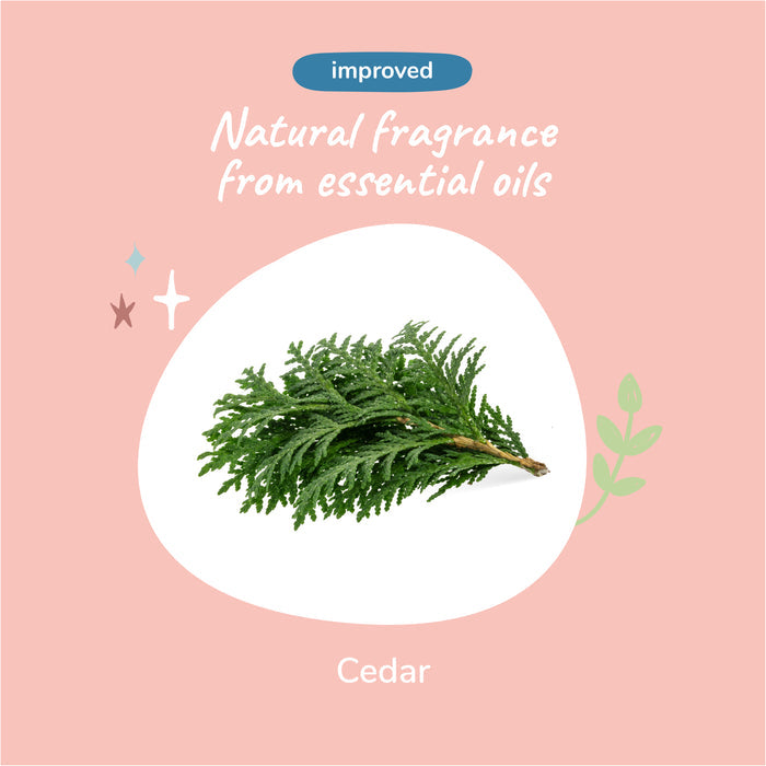 A cedar branch illustration on a pink background features Cedar and text reading Improved and Natural fragrance from essential oils. Decorative stars and leaves enhance the design, highlighting kin+kinds dedication to natural pet care in their Dry Skin & Coat Dog Shampoo.