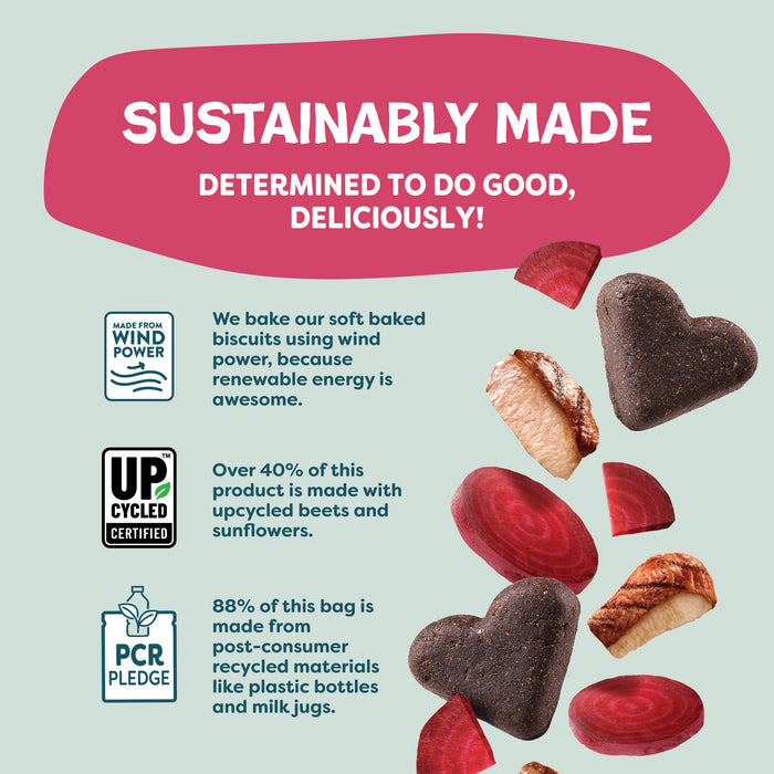 Infographic with biscuits and beet slices highlights sustainability: Shameless Pets Duck Duck Beet Soft-Baked Dog Treats are made with wind power, over 40% upcycled beets and sunflowers, and packaging thats 88% recycled materials.