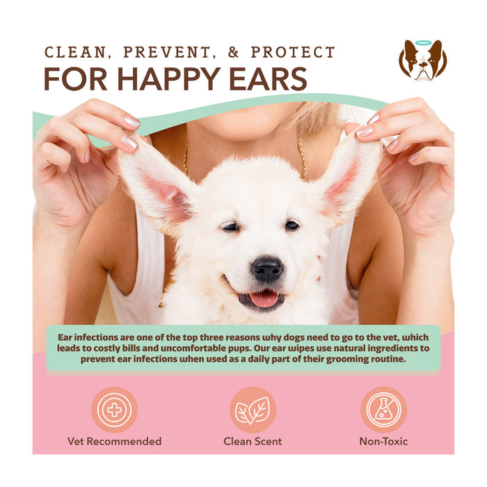 Happy puppy with floppy ears enjoys grooming by a person. Text promotes ear wipes for preventing infections, highlighting vet recommendation, clean scent, and non-toxic formula. Decorative icons accompany the text.