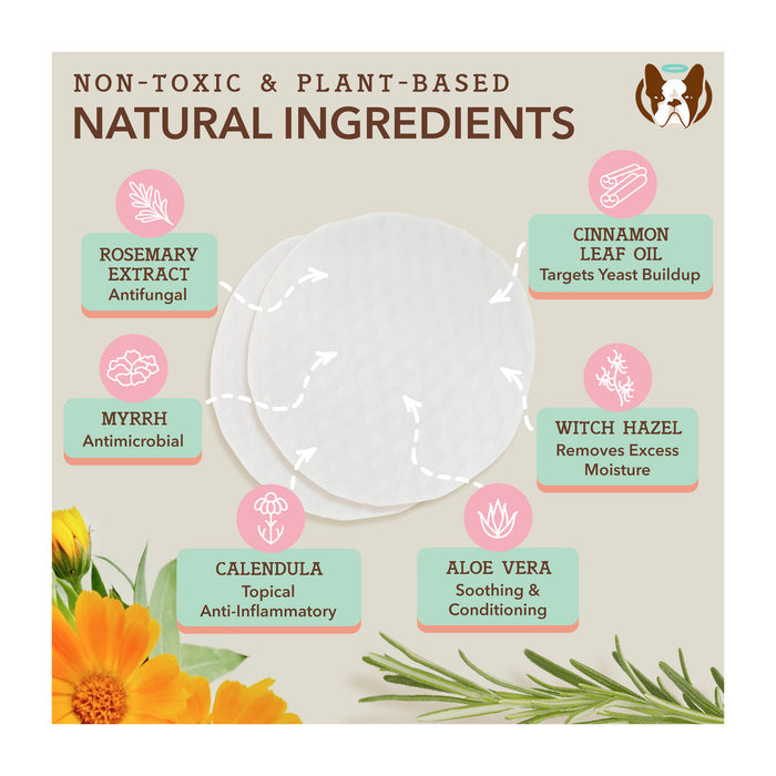 Infographic titled "Non-Toxic &amp; Plant-Based Natural Ingredients" with visuals and text. Features rosemary extract, myrrh, calendula, aloe vera, witch hazel, and cinnamon leaf oil with descriptions of their benefits around a central circular pad.
