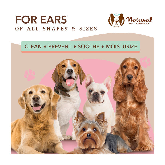 Five different dog breeds, including a Golden Retriever and a French Bulldog, are arranged facing forward against a pink and beige background. The text highlights benefits like cleaning and moisturizing for ears. Natural Dog Company branding is present.