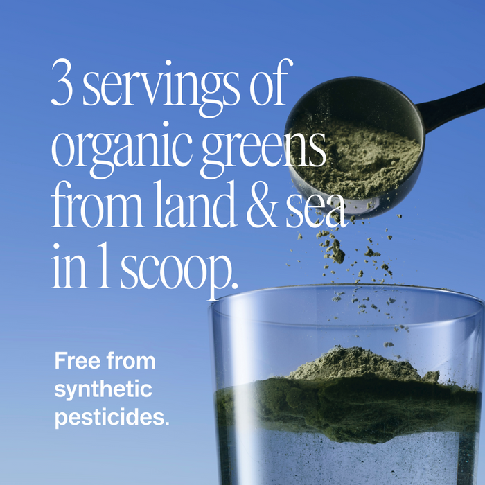 A spoonful of Easy Being Green: Daily Active Superfood Greens Powder by Ora Organic is held above a glass of the same powder. Text: 3 servings of organic land & sea greens per scoop, organic prebiotics, no synthetic pesticides. Blue background.