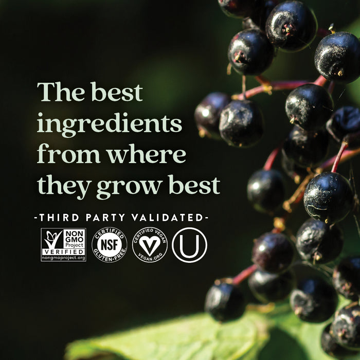 Close-up of dark berries—nature’s best, like Elderberry Force™ by New Chapter for Immune Support. Made with top-quality ingredients. Non-GMO Project Verified, NSF Certified Gluten-Free, Vegan, and Kosher certified.