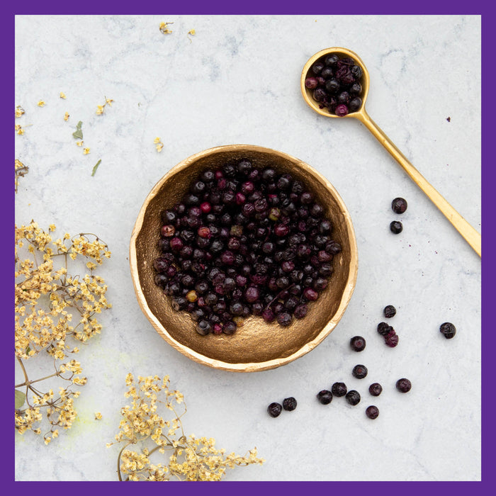 A gold bowl of small dark berries on marble looks like New Chapters Elderberry Gummies, Organic Whole-Food Gummies for Immune Support, with a matching gold spoon. Dried flower sprigs on the top left are framed by a purple border, evoking antioxidant action and immune support.