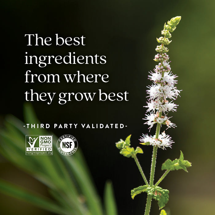 A white flowering plant with green leaves is shown. Text reads, Estrotone™ Herbal Hormone Balance by New Chapter—for pre & post menopause. THIRD PARTY VALIDATED. Non-GMO Project Verified and NSF Certified B Corporation logos appear.
