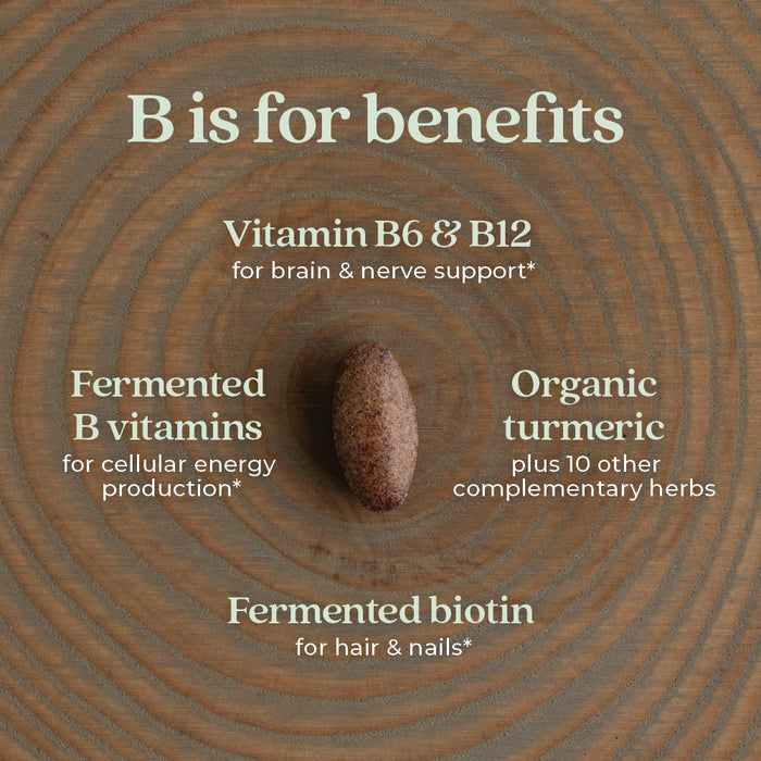 A New Chapter Fermented Coenzyme B Complex tablet is centered on wood with concentric circles. Benefits shown: vitamins B6 & B12 for brain support, fermented vitamin B complex, organic turmeric, and fermented biotin.