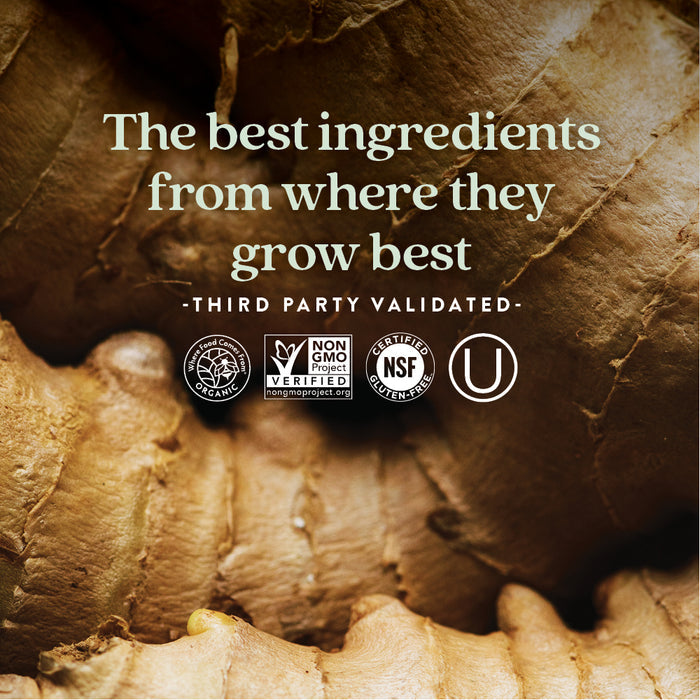 A close-up of ginger roots with the text: New Chapter Fermented Coenzyme B Complex—energy & nervous system support. Third party validated, featuring USDA Organic, Non-GMO Project Verified, NSF, and Kosher certifications.