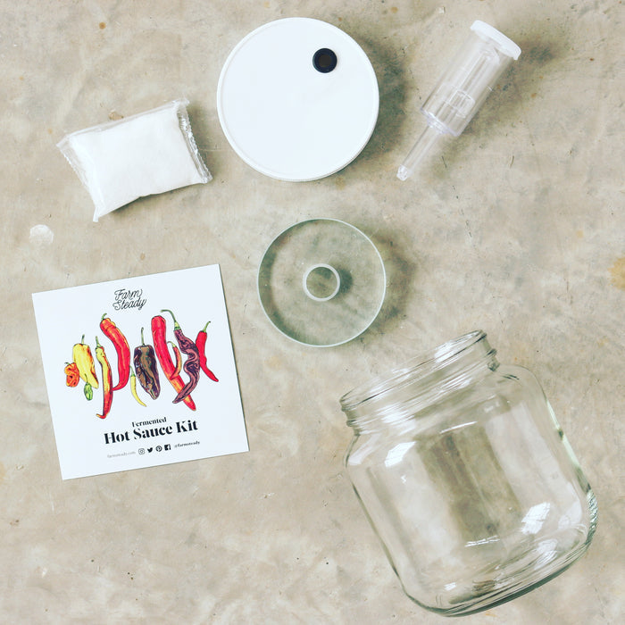 Flat lay of the Fermented Hot Sauce Kit by FarmSteady on concrete surface, featuring a clear jar with white lid, plastic pipette, disk, white powder for umami depth in a small bag, and an instruction card with colorful pepper illustrations. Ideal for crafting your own fermented hot sauces.
