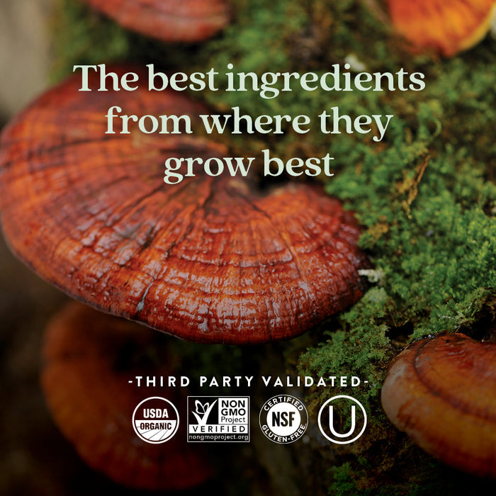 Close-up of reddish-brown mushrooms on mossy wood with the text: “New Chapter Fermented Vitamin D3, 2,000 IU—immune, heart & bone support from the best sources.” Certification badges: USDA Organic, Non-GMO, NSF, and Kosher shown below.