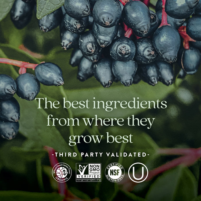 Close-up of dark blue berries on a plant with green leaves. Overlaid text reads, "The best ingredients from where they grow best - Third Party Validated." Various certification logos appear at the bottom.