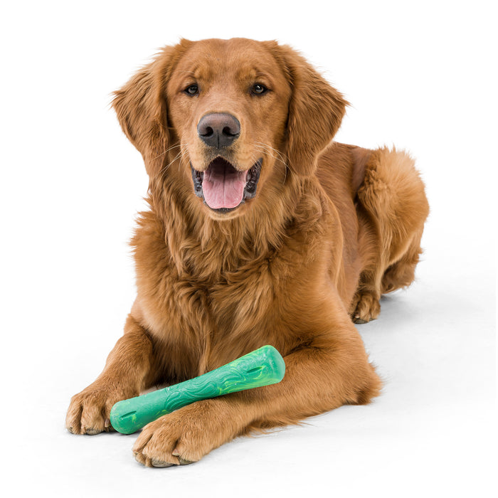 A relaxed Golden Retriever, a moderate chewer, lies against a white background with West Paws Fetch and Chew Drifty™ Dog Toy made from ocean-bound recycled plastic under its paws, appearing content with the eco-friendly toy.