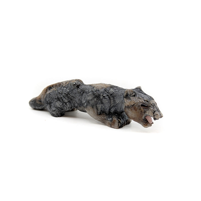 Finely Detailed Crouching Mountain Lion