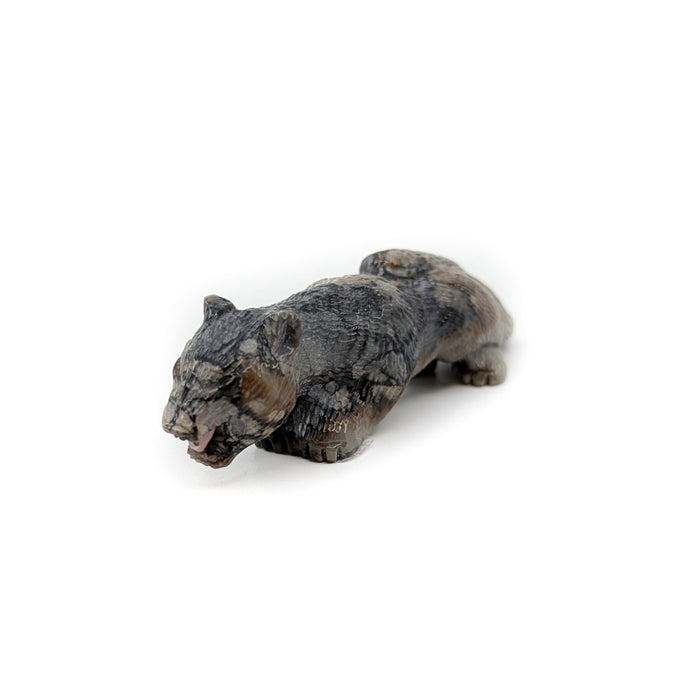 Finely Detailed Crouching Mountain Lion