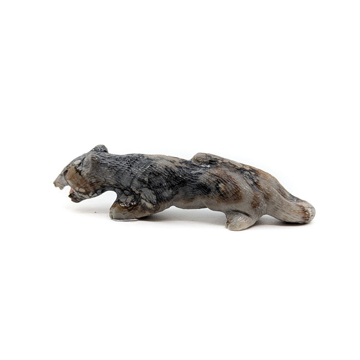 Finely Detailed Crouching Mountain Lion