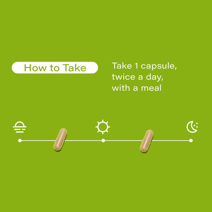 Green background with medication instructions: "How to Take: Take 1 capsule, twice a day, with a meal." Capsule images aligned with icons for sunrise, midday, and night indicate timing.