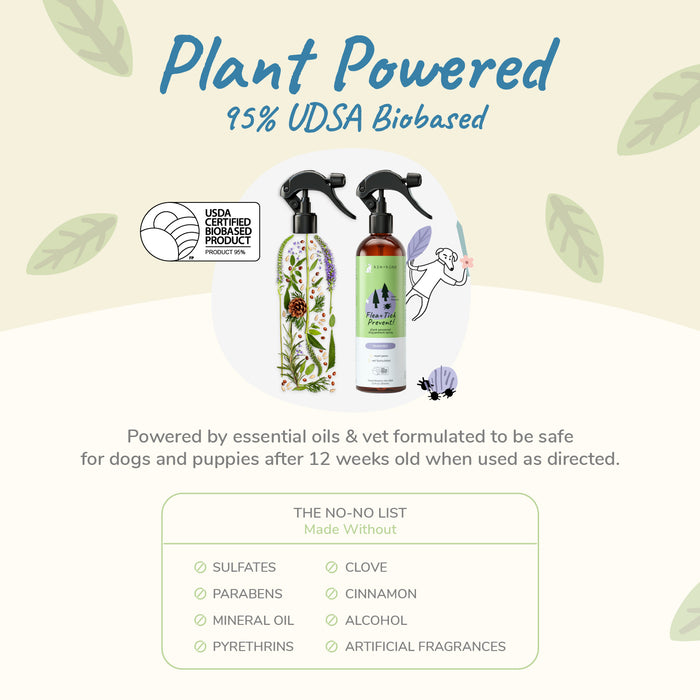 The promotional image for kin+kinds Flea+Tick Protect Spray features two bottles with green floral designs, touts 95% USDA Biobased content, and highlights natural flea and tick repellents like essential oils. The hypoallergenic spray is safe for dogs over 12 weeks.