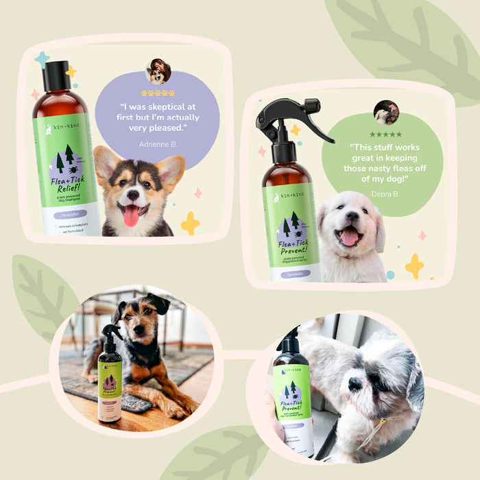 Image featuring four photos of kin+kind pet products with testimonials: Top left shows a small dog with Flea+Tick Protect Spray for Dogs and a positive quote. Top right features a happy dog using the spray successfully. Bottom images include a dog with the bottle and a close-up on the product.