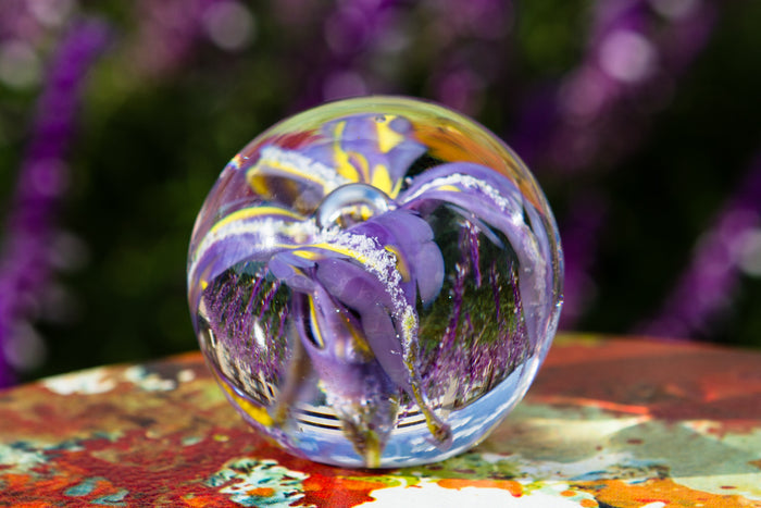 Glass flower paperweight with cremains in purple and yellow petals inside a clear orb on a painted surface