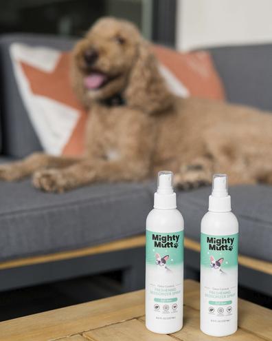Two bottles of Freshening Deodorizer Spray by Mighty Mutt, known for its hypoallergenic formula, sit on a wooden table. A fluffy dog enjoys the natural ingredients of its new spray while lying on a gray couch with orange and white pillows in the blurred background.
