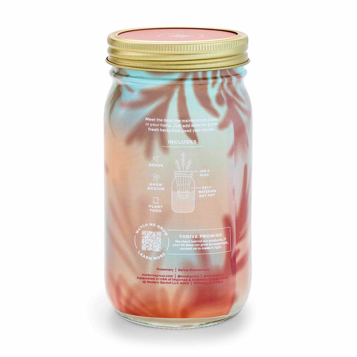 The Garden Jar by Modern Sprout features a pink and teal tie-dye glass jar with a metal lid. This low-maintenance kit includes seeds, soil, and instructions to grow fresh rosemary at home, making it perfect for aspiring herb gardeners.