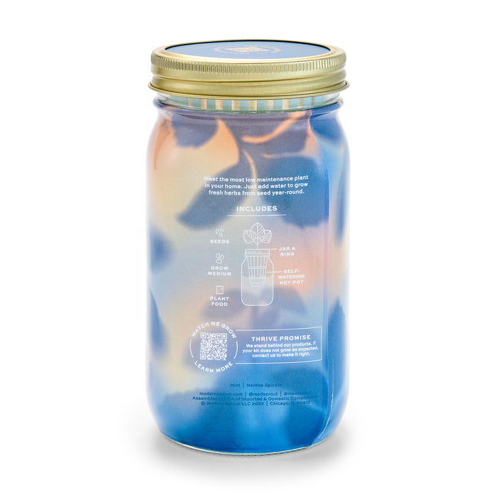 The Garden Jar by Modern Sprout is a glass container with a golden lid, featuring a vibrant blue and orange design. It includes white text detailing its contents: seeds, plant food, and instructions for easy herb cultivation.