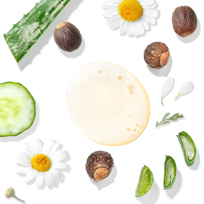 A flat lay image showcases ingredients like aloe vera slices, cucumber, chamomile flowers, nutmegs, and white petals surrounding a smear of clear gel. These elements are perfectly arranged on a pristine white background to highlight the essence of Tree To Tubs Gentle Body Wash for Sensitive Skin.