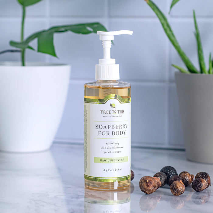 On a marble surface sits a transparent bottle labeled Tree To Tub Gentle Body Wash for Sensitive Skin, with a white pump revealing light amber liquid. This fragrance-free, unscented body wash is surrounded by green plants in gray pots and dried soapberries, creating a serene scene.
