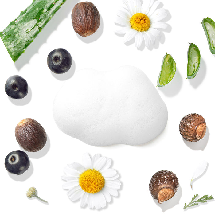 A flat lay with aloe leaves, daisies, berries, nuts, and a cloudy white substance on a pristine background evokes the purity of Tree To Tubs Gentle Face Wash for Sensitive Skin.