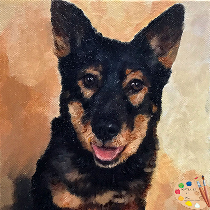 German Shepherd Dog Portrait 513
