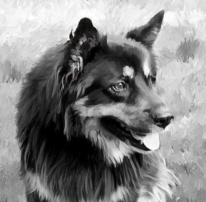 German Shepherd Painting