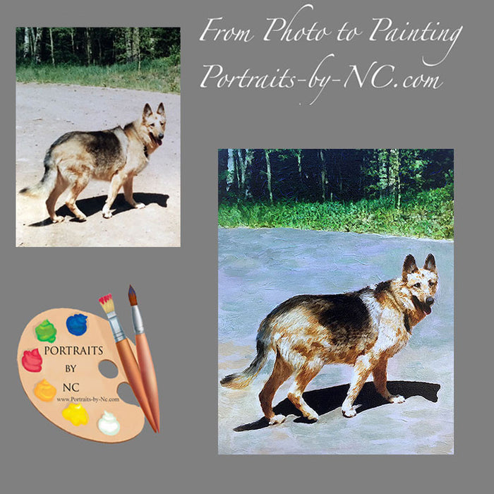 German Shepherd Dog Portrait from Photo 484