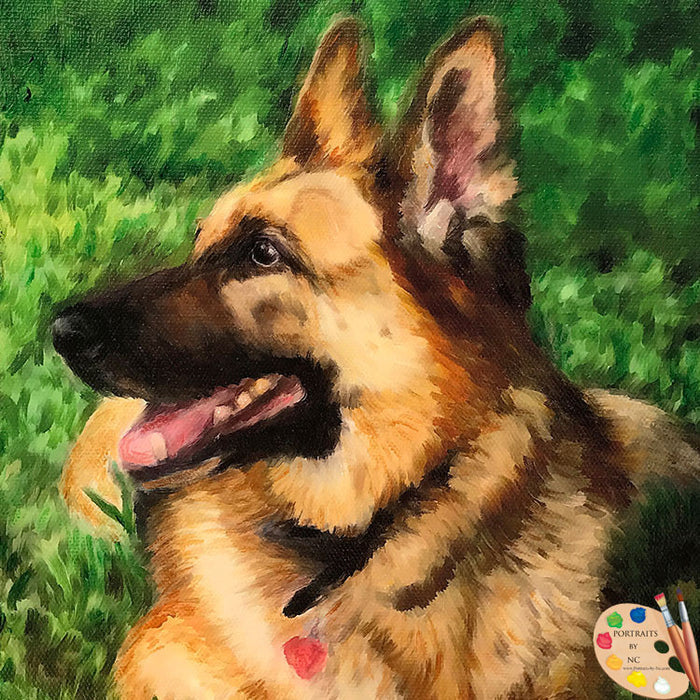 German Shepherd Pet Portrait 515