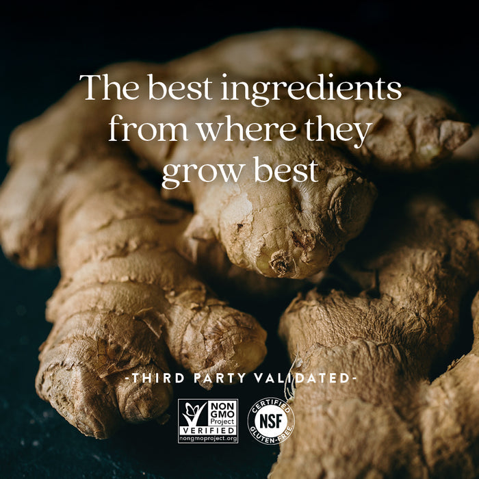 A close-up of fresh ginger roots with the text: The best ingredients from where they grow best. Featuring New Chapter Ginger Force™ for digestion and heart health. Includes Non-GMO Project Verified, NSF Certified Gluten-Free, and Third Party Validated logos.