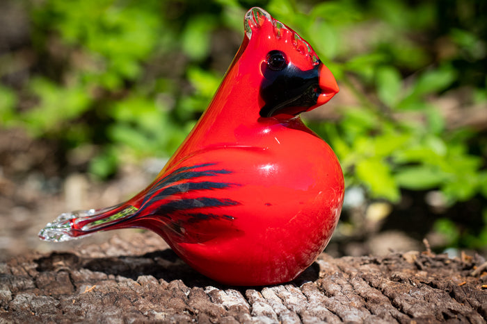cardinal with cremation ash from pets and people