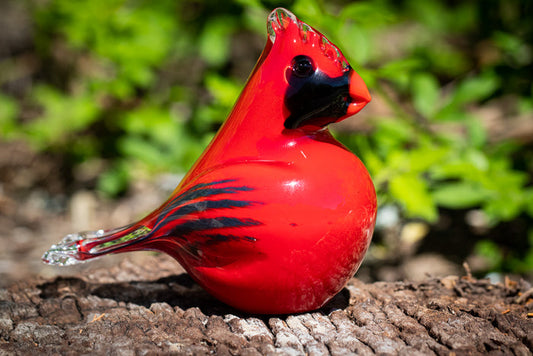 cardinal with cremation ash from pets and people
