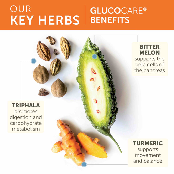 The image describes the benefits of three key herbs. Bitter melon supports the beta cells of the pancreas. Triphala promotes digestion and carbohydrate metabolism. Turmeric supports movement and balance. Pictures of each herb are shown.