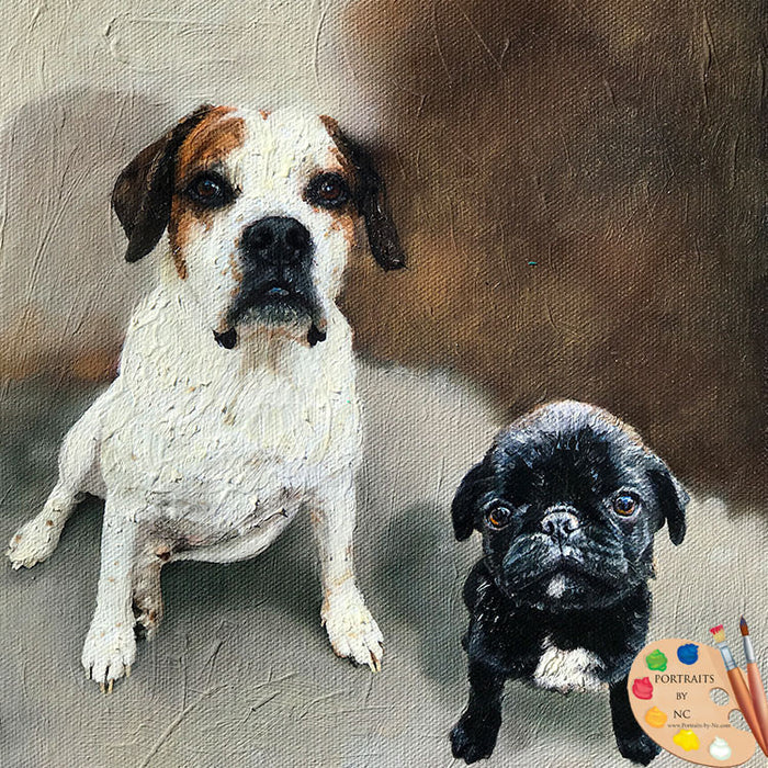 Group Dog Portrait 539