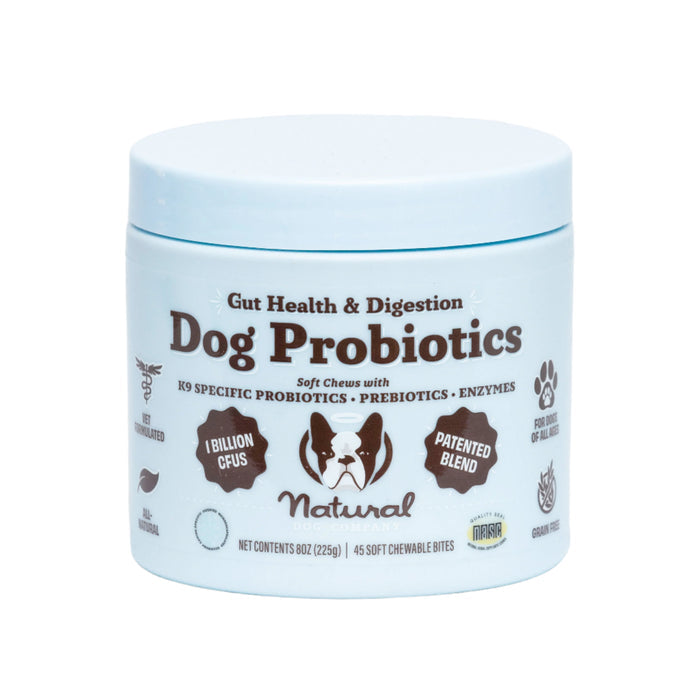 The light blue container of Gut Health & Digestion Dog Probiotics by Natural Dog Company promotes digestive health and gut benefits. It includes immune support with a patented blend of 1 billion CFUs in 45 soft chews, featuring a dog image on the label.