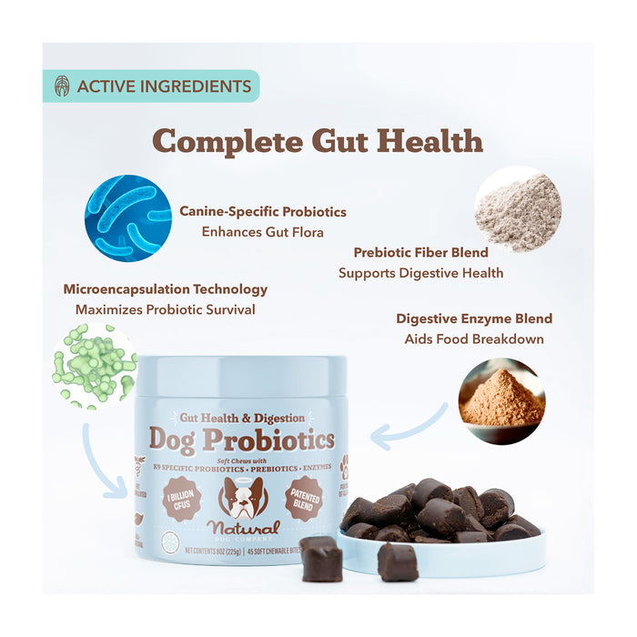 Image of Gut Health & Digestion Dog Probiotics packaging by Natural Dog Company, highlighting canine-specific probiotics for gut flora and immune support. Includes prebiotic fiber, microencapsulation technology, and a digestive enzyme blend. Jar and supplements are labeled for optimal digestive health.