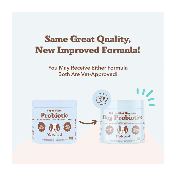 Two jars of Natural Dog Companys Gut Health & Digestion Dog Probiotics with updated packaging highlight digestive health benefits. The text reads: Same Great Quality, New Improved Formula! and You May Receive Either Formula—Both Support Immune Health and Are Vet-Approved!.