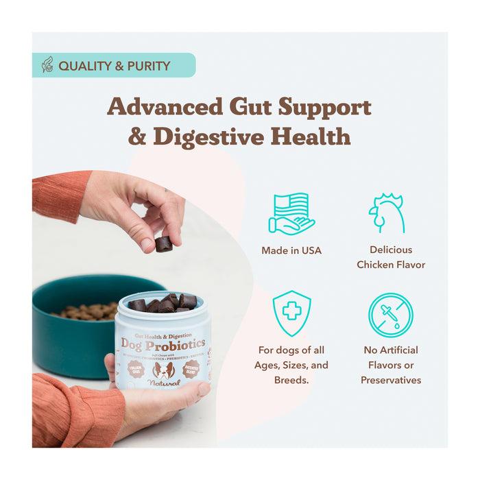 A hand holds a jar of Natural Dog Companys Gut Health & Digestion Dog Probiotics as brown chews tumble into a green bowl. The text highlights its Advanced Gut and Immune Support, Made in the USA. Its a Delicious Chicken Flavor ideal for dogs of all ages, sizes, and breeds with no artificial flavors or preservatives.