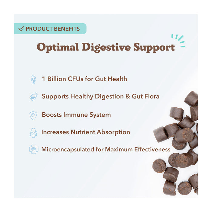 An image showcases Gut Health & Digestion Dog Probiotics by Natural Dog Company, highlighting 1 Billion CFUs to aid healthy digestion, enhance immune support, and balance gut flora. It is microencapsulated for optimal nutrient absorption and digestive health in dogs.