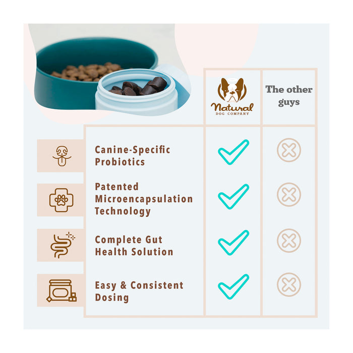 Comparison chart for dog probiotics highlights features like canine-specific probiotics, patented microencapsulation, and gut health support. Natural Dog Company’s Gut Health & Digestion Dog Probiotics excels with immune support and easy dosing; other brands fall short. Image included.