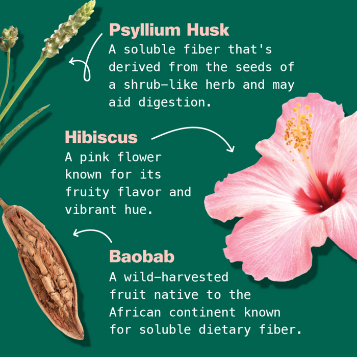 On a green background, labeled illustrations of psyllium husk, hibiscus flower, and baobab pod highlight their sources and how Kuli Kuli Foods Gut Health Organic Superfood Latte’s fiber-rich blend supports digestive wellness.