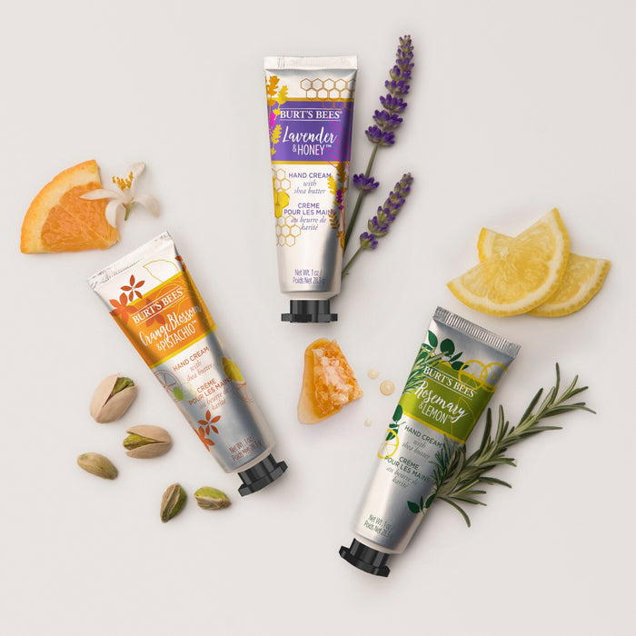Burts Bees Hand Cream with Shea Butter is displayed elegantly: Orange Blossom accompanied by orange slices, Lavender & Honey with lavender sprigs, and Rosemary & Lemon with lemon wedges. Surrounding are pistachios and honey, emphasizing the creamy Shea Butter in these natural hand lotions.